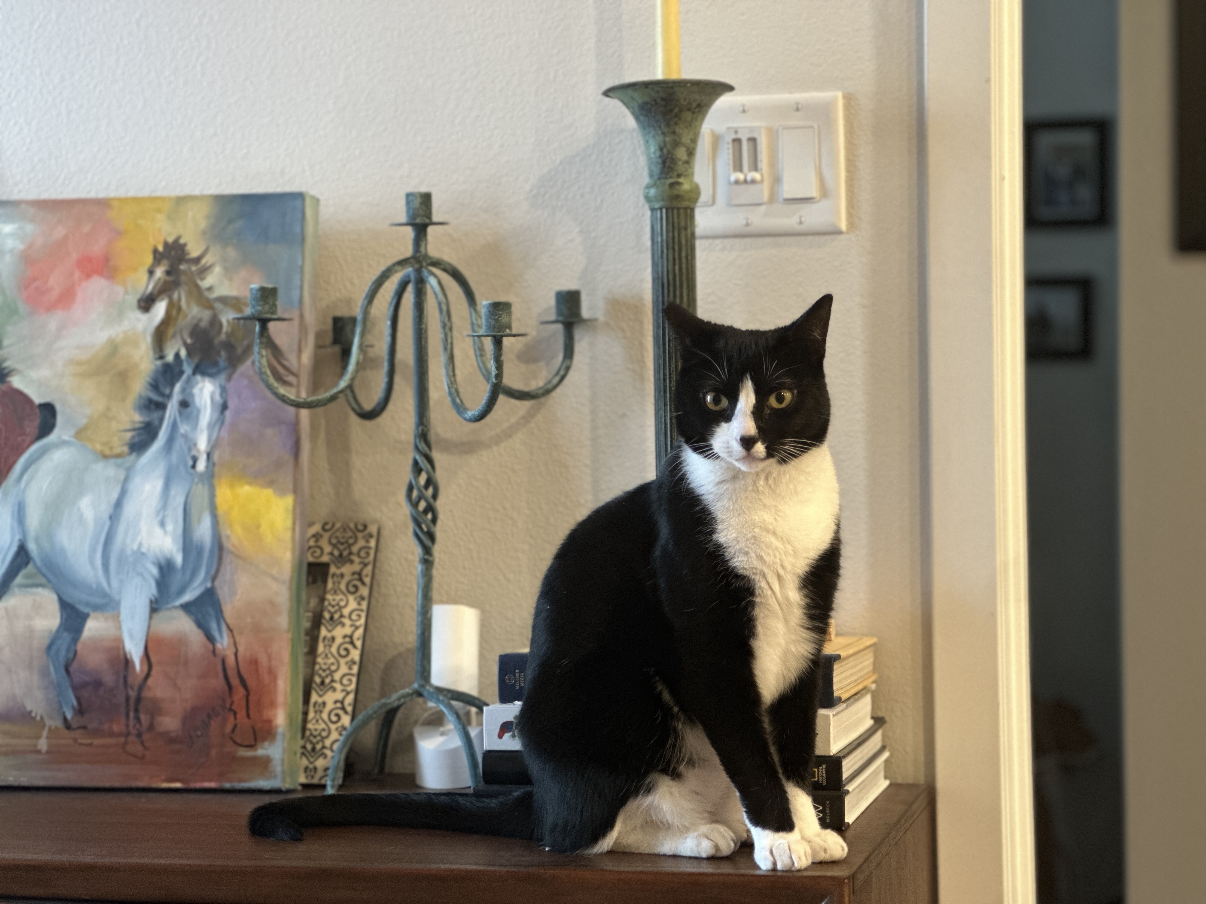 Yessica with a cat